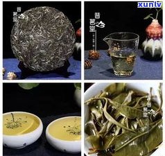 普洱紧压茶的传统形状及其品质特征