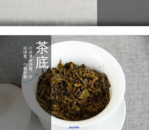 贡茶吉祥普洱茶饼-贡饼普洱茶价格