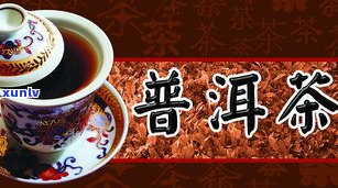 黑茶又叫做普洱茶吗？探究其命名由来与区别