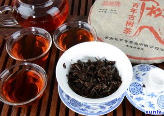 普洱茶1000一斤贵吗？探讨其价格及价值