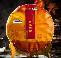 普洱茶价格全解析：一斤多少钱？一克多少钱？