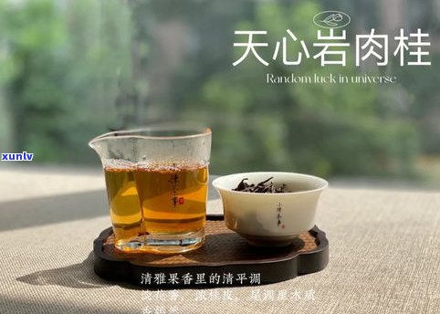 1000元普洱茶是什么档次？价格在一千左右的普洱茶品质怎样？