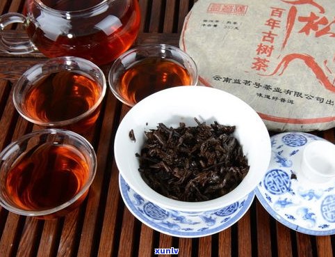 普洱茶1000元-1000多的普洱