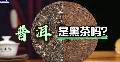 深入了解：黑茶是什么茶？与普洱茶有何区别及功效？