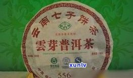 黑茶属于普洱茶叶类吗？探讨其分类归属与特点