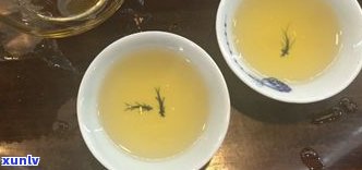 黑茶属于普洱茶叶类吗？探讨其分类归属与特点