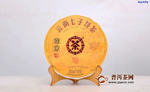 中茶牌普洱茶公司怎么样？全面解析与评价