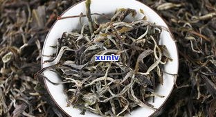 最新普洱茶散生茶价格表及高清图片大全