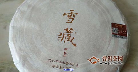 最贵的生普洱茶多少钱一斤？ 探索顶级品种及价格排名