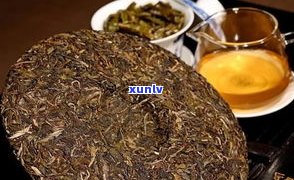 普洱茶熟茶饼推荐：哪种好？选择技巧全解析