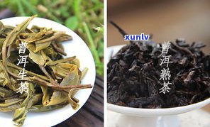 梅花饼普洱茶：熟茶与生茶的区别及推荐