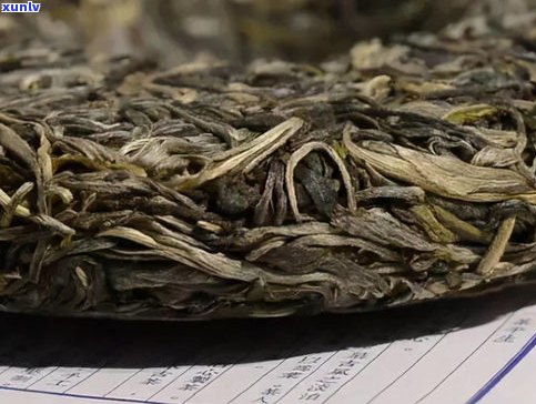 普洱茶属于苦茶吗-普洱茶属于苦茶吗为什么