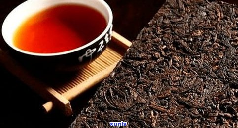 熟普洱茶什么茶好-熟普洱茶什么茶好喝