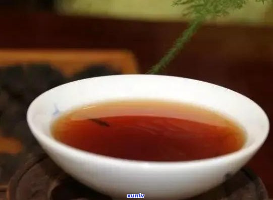 熟普洱茶什么茶好-熟普洱茶什么茶好喝