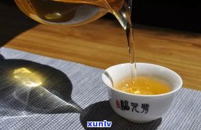 与普洱茶相关的茶有哪些品种？