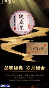 古味普洱茶：价格查询与品鉴指南