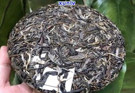 古茶普洱茶的特点-古茶普洱茶的特点是什么