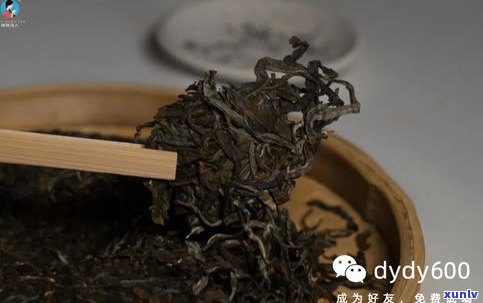 普洱茶该如何醒茶-普洱茶如何醒茶?教你3种方法