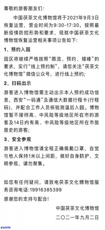 探究阿联酋茶文化的独特魅力及其在市场中的地位与影响