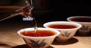 深入了解老茶普洱茶的功效与作用及其禁忌