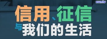 2021花呗上征信吗-2021花呗上征信吗?