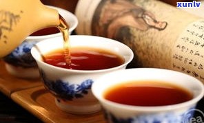 深度解析：普洱茶与藏茶的区别及功效