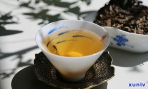 深度解析：普洱茶与藏茶的区别及功效