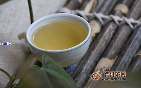 全程揭秘：普洱茶的制茶过程视频教程