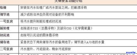 深入了解普洱茶制茶过程和工艺：详细流程与步骤解析