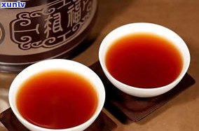 普洱茶要放多久？从新茶到陈香的时间解析