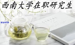 龙井茶普洱茶推荐-龙井普洱茶哪个好?