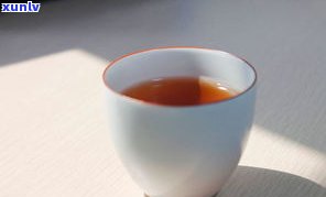 红船头普洱茶熟茶价格及相关信息