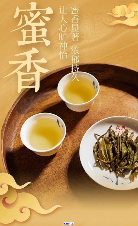 戎氏普洱茶500克：传承制茶世家的精髓，官网价格1000克，生茶价格实惠。