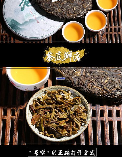 13年普洱茶生茶价格：饼价、每斤价及品质评估