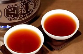 普洱茶与老寨秋茶：口感对比与特点解析