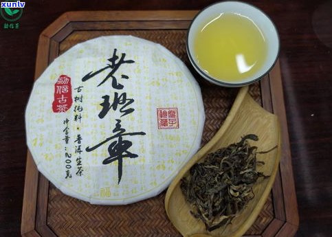 普洱茶的开茶温度-普洱茶的开茶温度是多少