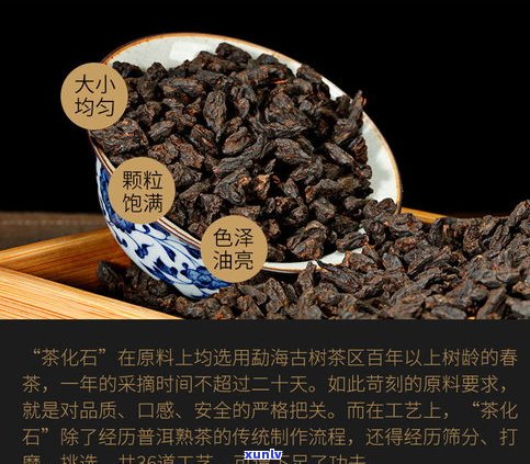 全面解析：普洱茶化石与茶头有何不同？