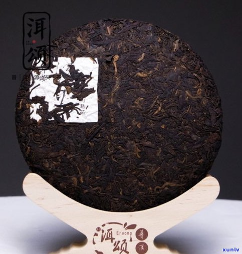 深入解析：普洱茶与熟茶有何区别？