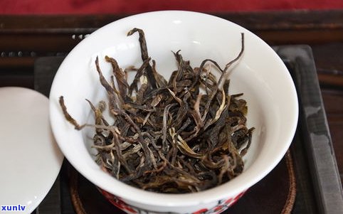 小袋的普洱茶熟茶能存放多久不变质？