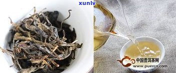 普洱茶叶中的马蹄是什么？形状、种类、口感全揭秘！