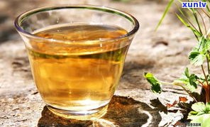 普洱茶茶青中的马蹄：成分、名称及饮用安全性全解析
