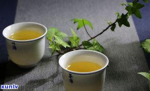 普洱茶有马蹄茶吗-普洱茶有马蹄茶吗图片