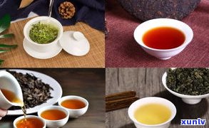 乌龙茶普洱茶的功效与作用及禁忌全解