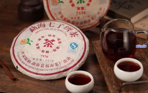 什么是普洱茶龙珠？品种、味道全解析