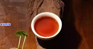 樟香普洱茶：含义、口感与功效全解析
