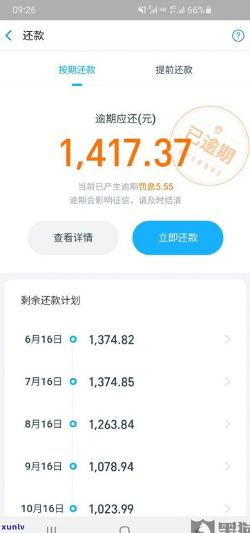 2022年借呗可以延期还款吗-2022年借呗可以延期还款吗请问