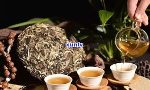 深入了解普洱茶生茶转化过程：从鲜叶到熟茶的完美转变