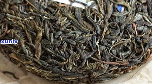 深入了解普洱茶生茶转化过程：从鲜叶到熟茶的完美转变