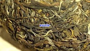 深入了解普洱茶生茶转化过程：从鲜叶到熟茶的完美转变
