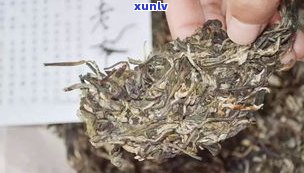 普洱茶红丝带含义、图片及分类全解：生熟茶、黄丝带、中茶版